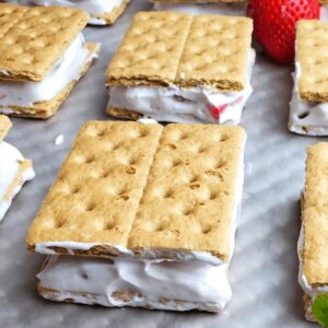 Homemade ice cream yogurt cookies.